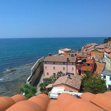 Apartments Edo Novigrad Istria Dış mekan fotoğraf