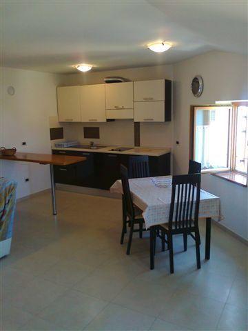 Apartments Edo Novigrad Istria Dış mekan fotoğraf
