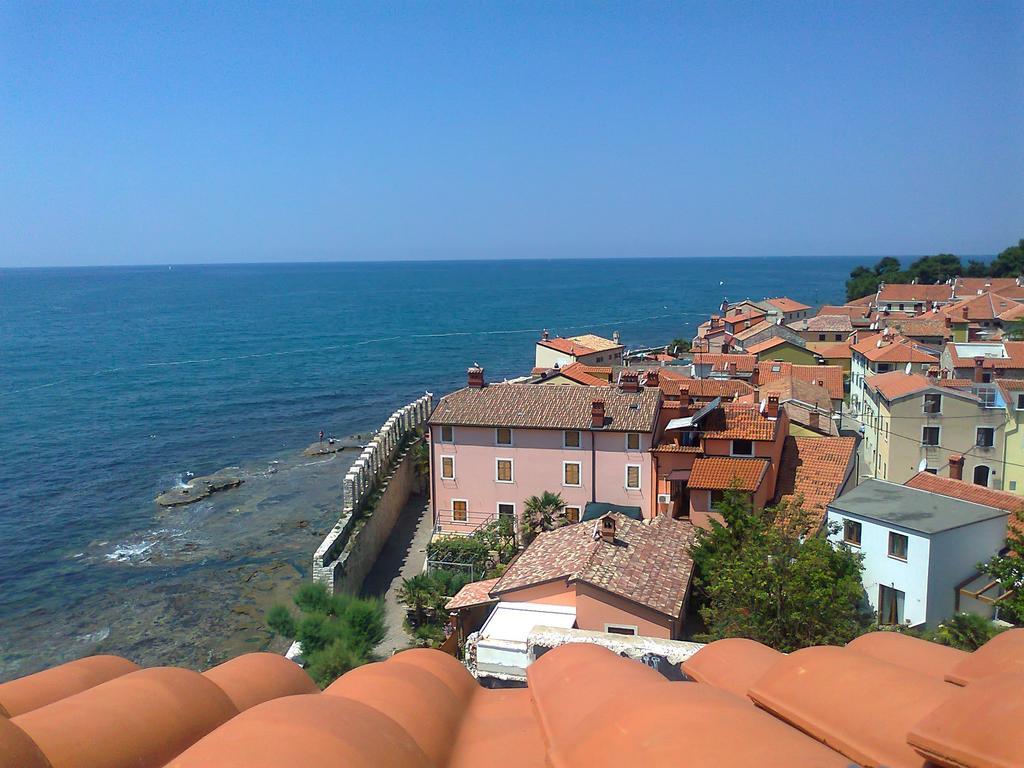 Apartments Edo Novigrad Istria Dış mekan fotoğraf